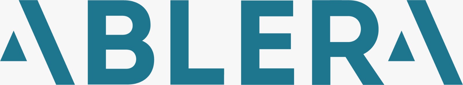 Technology Partner