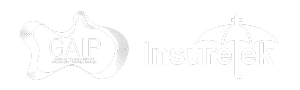 InsureTek Logo